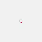 seakdara.com
