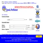 sealifebase.se