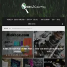 searchgateway.net