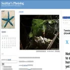 seastar.cocolog-nifty.com