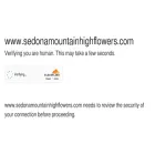 sedonamountainhighflowers.com