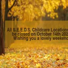 seedschildcare.ca