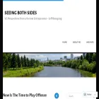 seeingbothsides.com