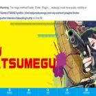 seijunatsumegu.com