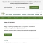 seligson.fi