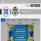 selinsgroveayso.org