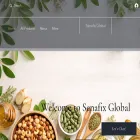 senafix-global.com