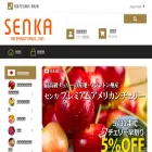 senka.com