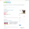 seobilog.com