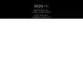 seovisions.com