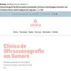 serenaultrassom.com.br