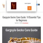 serpentanimal.com
