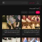 sex-masry.site
