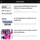shayaripunjabi.com
