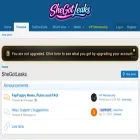 shegotleaks.net