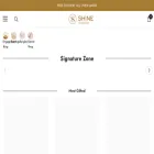 shinegd.com