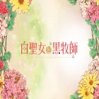 shiroseijyo-anime.com