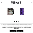 shop.kingpush.com