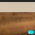 shopmadisonjules.com