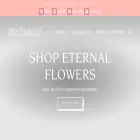 shopsolvani.co