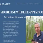shorelinewildlife.com