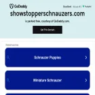 showstopperschnauzers.com