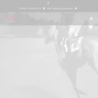 sienatalabarteria.cl