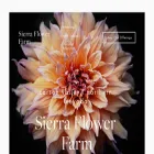 sierraflowerfarm.com