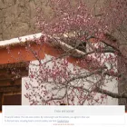 simbattuta.com