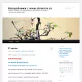 simoron.ru