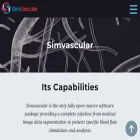 simvascular.github.io