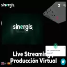 sinergis.com.mx