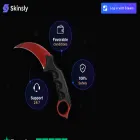 skinpin.online