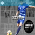 sky-soccer.net