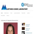 smc.neuralcorrelate.com