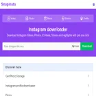 snap-insta.to
