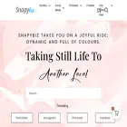 snapybiz.com