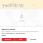 snorricam.com