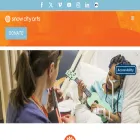 snowcityarts.org