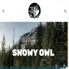 snowyowltours.com