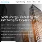 socialsinergy.com