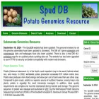 solanaceae.plantbiology.msu.edu