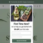 soldaire.com