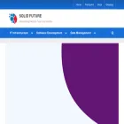 solid-future.com