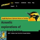 songbirding.com