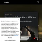 sony-cinematography.com