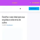 sosorquideas.com.br