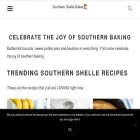 southernshelle.com