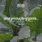 spagnhol.com.br