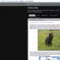 sparen-tierisch-gut.blogspot.de